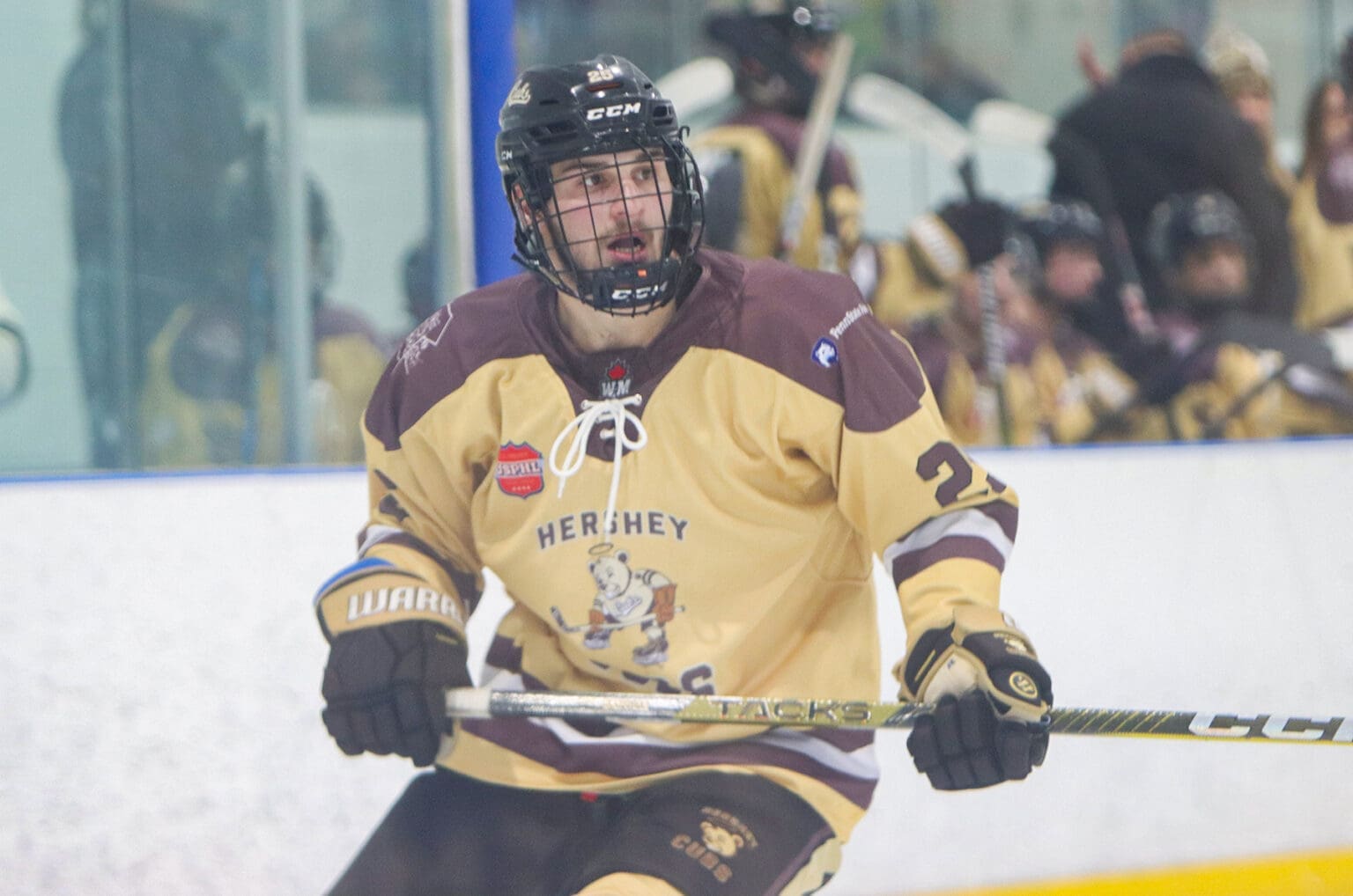 USPHL Advancement In Action: Thunder Hockey Club's William Michetti