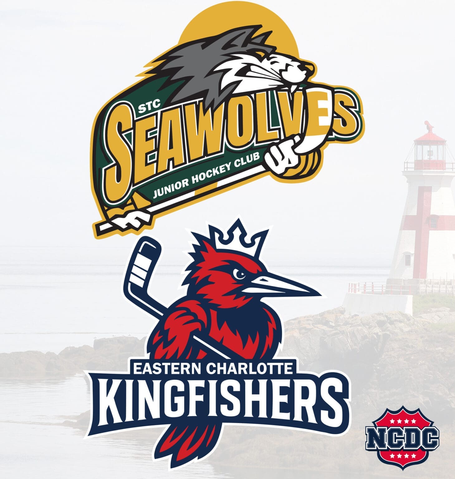 STC-ECharlotteNamesLogos