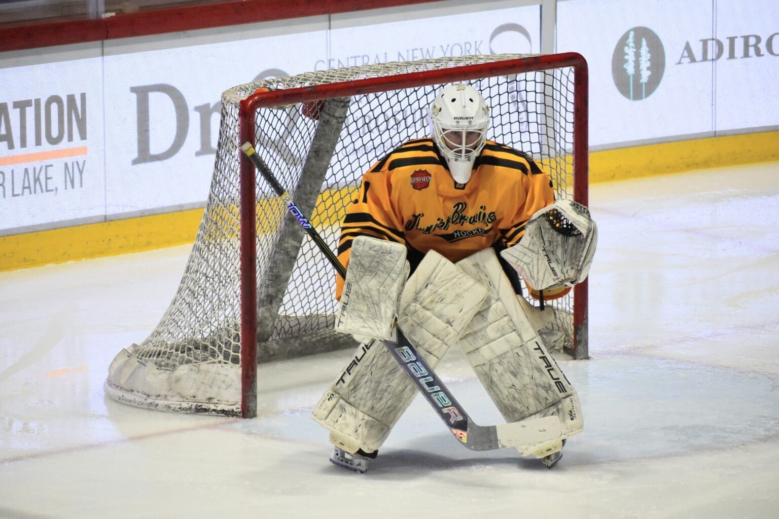 nee action - Nevin Hamilton