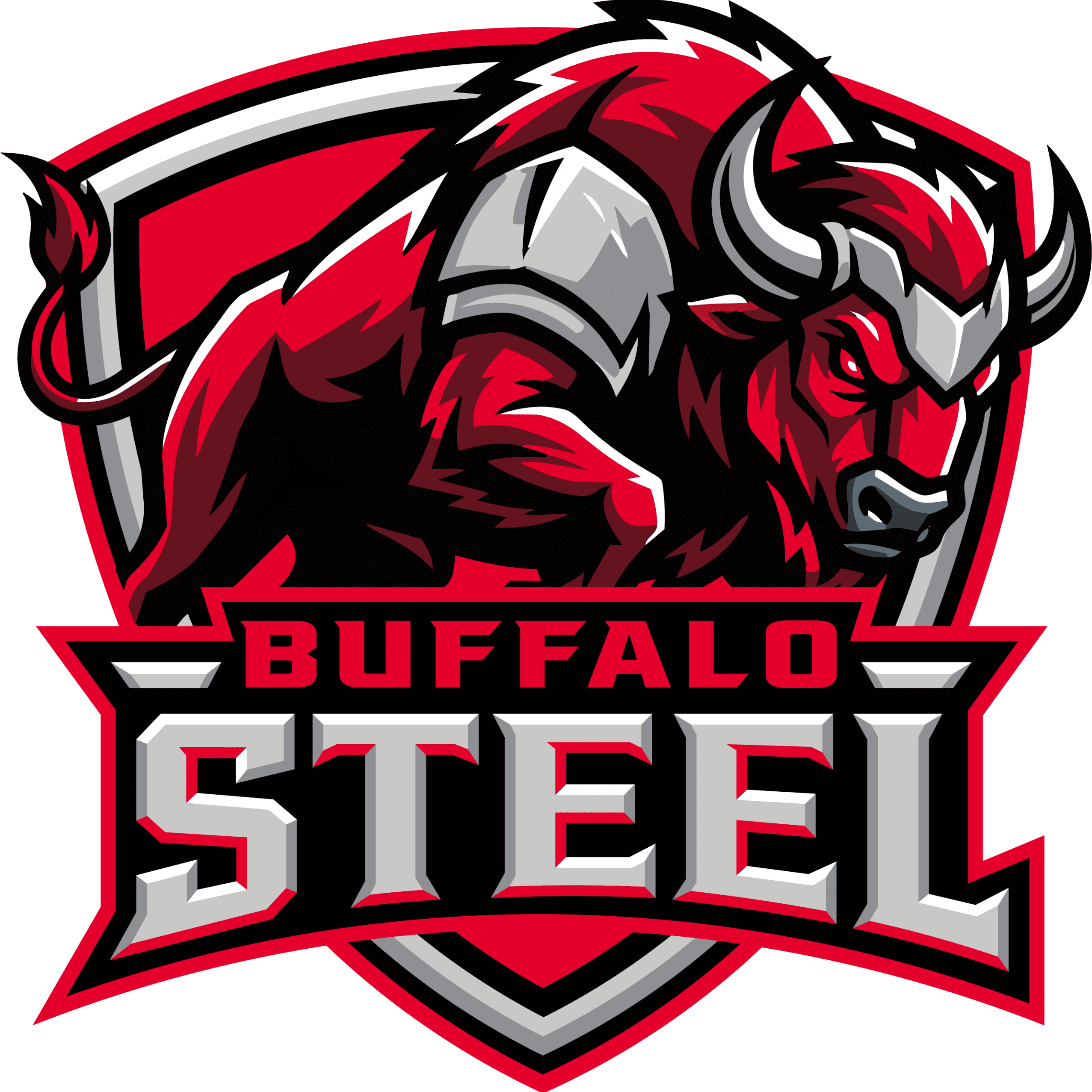 Buffalo Steel Main Logo