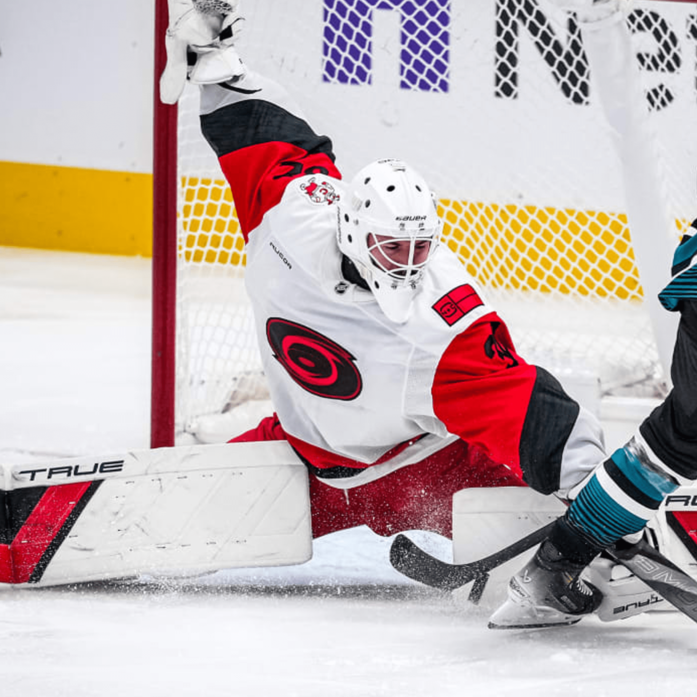 © Josh Lavallee / Carolina Hurricanes