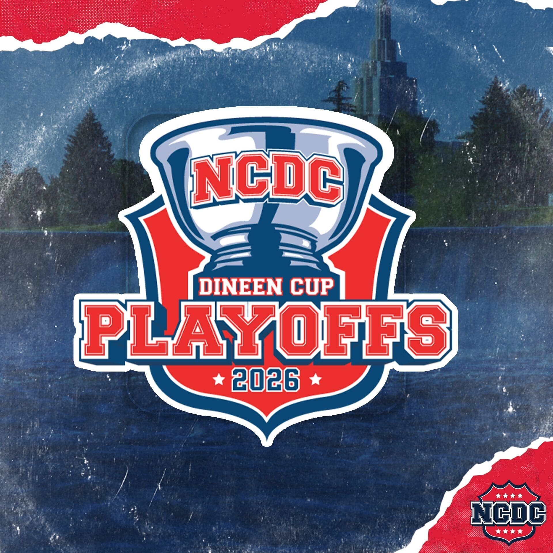 Dineen Cup web posts