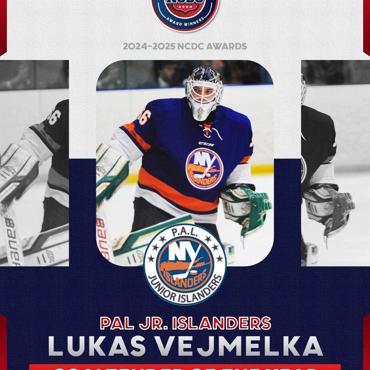 NCDCATLGoaltenderVejmelka