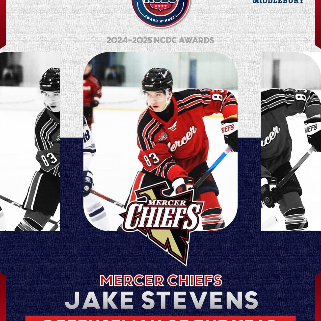 NCDCAwardsDofYearStevens